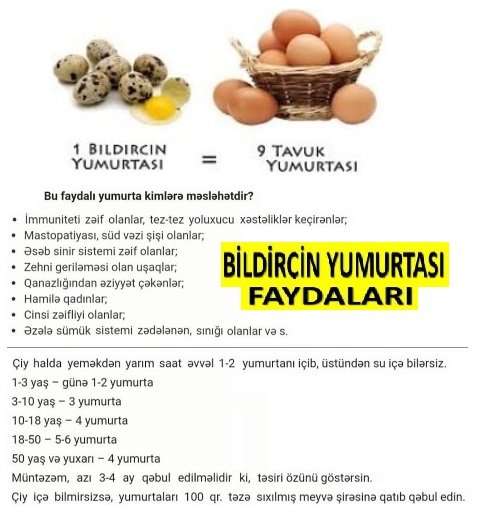 seller.az Bildirçin yumurtası